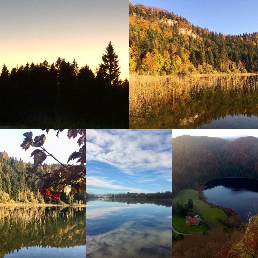 Gite Des Lacs Jumeaux Clairvaux-les-Lacs Eksteriør billede