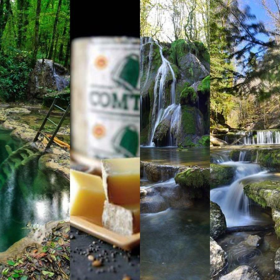 Gite Des Lacs Jumeaux Clairvaux-les-Lacs Eksteriør billede